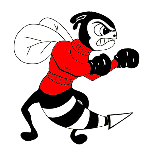 Herndon High School Fighting Hornets logo