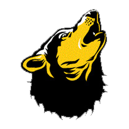 Mountain View High School Timberwolves logo